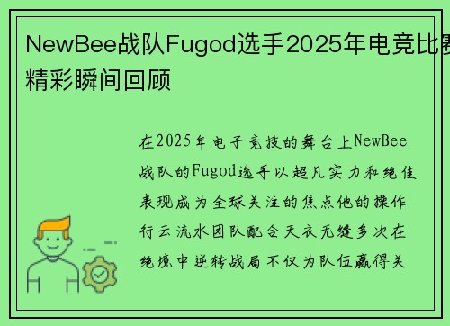NewBee战队Fugod选手2025年电竞比赛精彩瞬间回顾